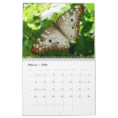 12 Monate Fotografie von Tieren und Wildtieren Kalender (Feb 2026)