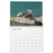 12 Monate Fotografie von Tieren und Wildtieren Kalender (Jan 2027)