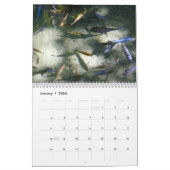 12 Monate Fotografie von Tieren und Wildtieren Kalender (Jan 2026)