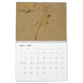 12 Monate Fotografie von Tieren und Wildtieren Kalender (Mär 2027)