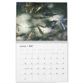 12 Monate Fotografie von Tieren und Wildtieren Kalender (Jan 2027)