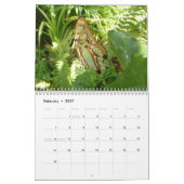 12 Monate Fotografie von Tieren und Wildtieren Kalender (Feb 2027)