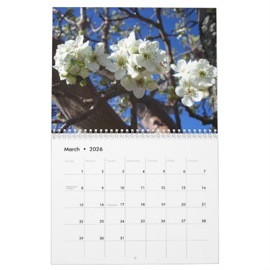 12 Monate Fotos der Saison, 10. Ausgabe Kalender (Mär 2026)