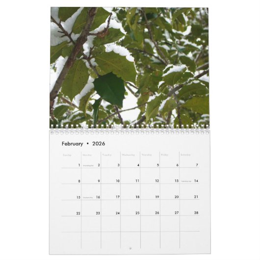 12 Monate Fotos der Saison, 10. Ausgabe Kalender (Feb 2026)