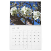 12 Monate Fotos der Saison, 10. Ausgabe Kalender (Mär 2027)