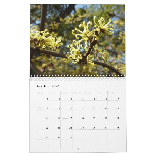 12 Monate Fotos der Saison, 11. Kalender (Mär 2026)