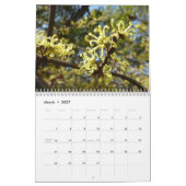 12 Monate Fotos der Saison, 11. Kalender (Mär 2027)