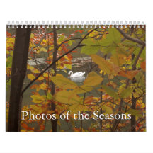 12 Monate Fotos der Saison, 12. Ausgabe