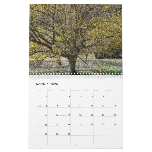 12 Monate Fotos der Saison, 5. Ausgabe Kalender (Mär 2026)