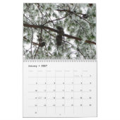 12 Monate Fotos der Saison, 5. Ausgabe Kalender (Jan 2027)