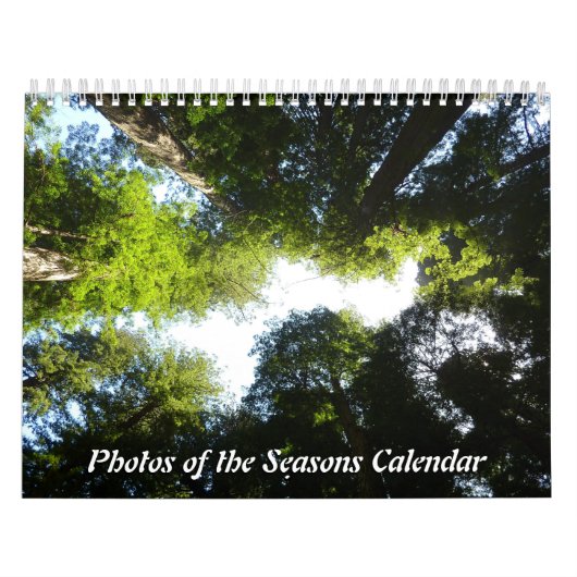 12 Monate Fotos der Saison, 7. Ausgabe Kalender (Titelbild)