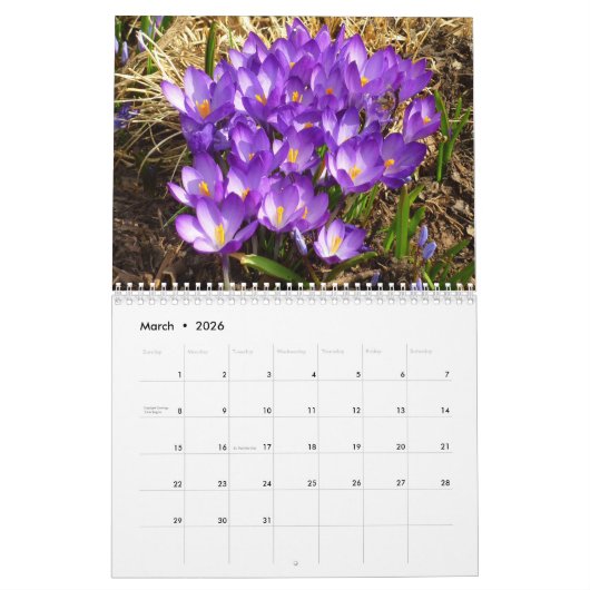 12 Monate Fotos der Saison, 8. Ausgabe Kalender (Mär 2026)