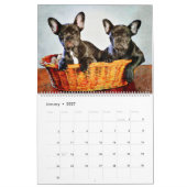 12 Monate Französischer Bulldog Hunde Kunst, Wasse Kalender (Jan 2027)