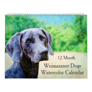 12 Monate Ghosting Weimaraner Hunde Wasserfarbenge Kalender