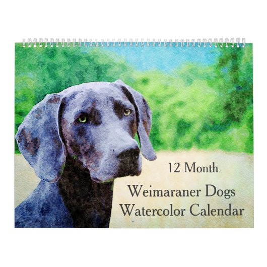 12 Monate Ghosting Weimaraner Hunde Wasserfarbenge Kalender (Titelbild)
