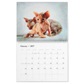 12 Monate Haarlose Sphynx Katzen Aquarellbilder Kalender (Feb 2027)
