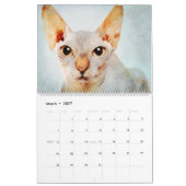12 Monate Haarlose Sphynx Katzen Aquarellbilder Kalender (Mär 2027)
