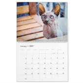 12 Monate Haarlose Sphynx Katzen Aquarellbilder Kalender (Jan 2027)