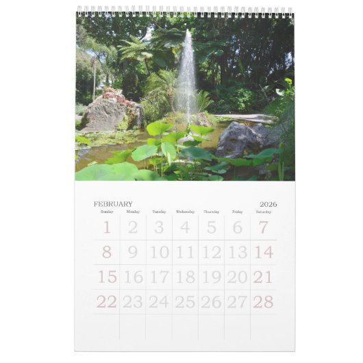 12 Monate Ischia Mauer Kalender (Feb 2026)