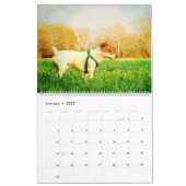 12 Monate Jack Russell Terrier Dogs Watercolor Ges Kalender (Jan 2027)