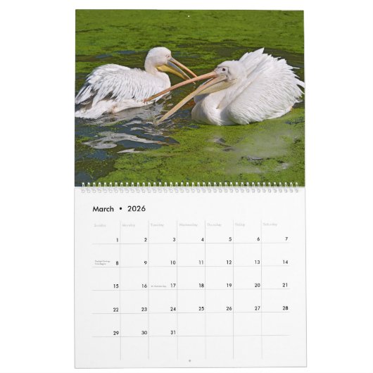 12 Monate Kalender (Mär 2026)