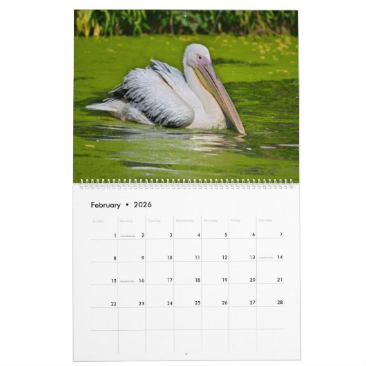 12 Monate Kalender (Feb 2026)