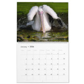 12 Monate Kalender (Jan 2026)