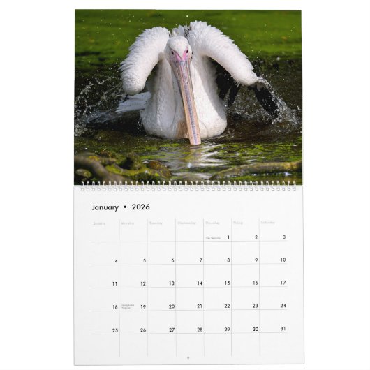12 Monate Kalender (Jan 2026)