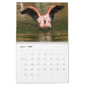 12 Monate Kalender Flamingos (Mär 2026)