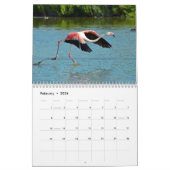 12 Monate Kalender Flamingos (Feb 2026)