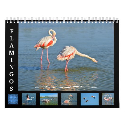 12 Monate Kalender Flamingos (Titelbild)
