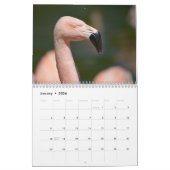 12 Monate Kalender Flamingos (Jan 2026)