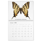 12 Monate Kalender für verschiedene Schmetterlinge (Jan 2026)