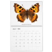 12 Monate Kalender für verschiedene Schmetterlinge (Mär 2026)