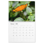 12 Monate Kalender für verschiedene Schmetterlinge (Feb 2026)