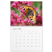 12 Monate Kalender für verschiedene Schmetterlinge (Jan 2026)