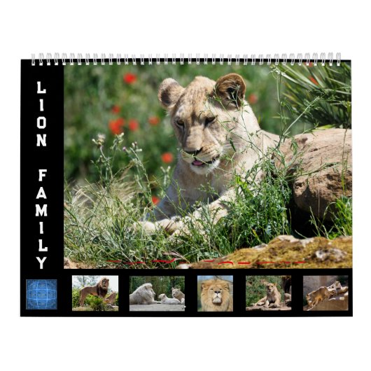 12 Monate Kalender Löwenfamilie (Titelbild)