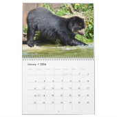 12 Monate Kalender verschiedene Bären (Jan 2026)