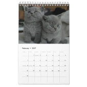 12 Monate Kittenkätzchen Geschwister Kalender (Feb 2027)