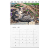 12 Monate Kittenkätzchen Geschwister Kalender (Jan 2027)