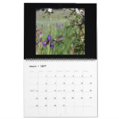 12 Monate Kolibris Kalender. Kalender (Mär 2027)