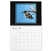 12 Monate Kolibris Kalender. Kalender (Feb 2027)