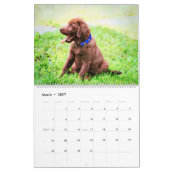 12 Monate Labrador Retriever Dogs Watercolor Gesch Kalender (Mär 2027)