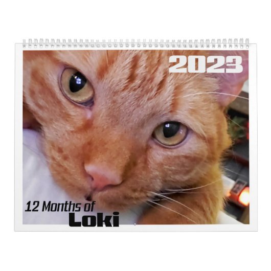 12 Monate Loki an Orange Tabby Cat Kalender (Titelbild)