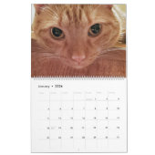 12 Monate Loki an Orange Tabby Cat Kalender (Jan 2026)