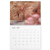 12 Monate Loki an Orange Tabby Cat Kalender (Mär 2027)