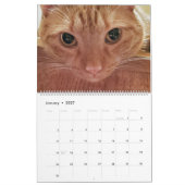 12 Monate Loki an Orange Tabby Cat Kalender (Jan 2027)