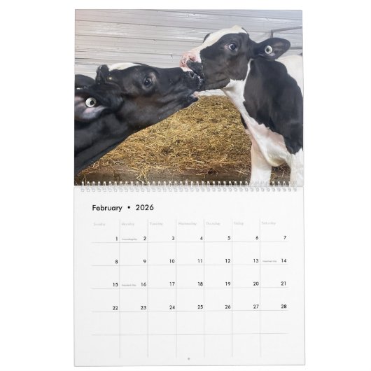 12 Monate Milch, Getreidebauernhof-Kalender Kalender (Feb 2026)