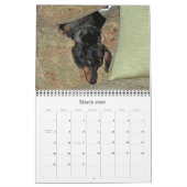 12 Monate mit dem tootise Hund Kalender (Mär 2026)