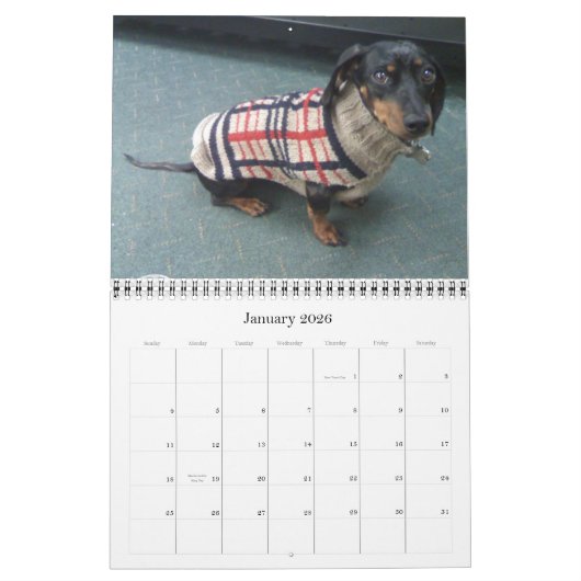 12 Monate mit dem tootise Hund Kalender (Jan 2026)